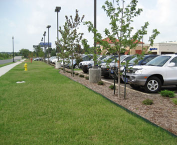 Lawn Maintenence